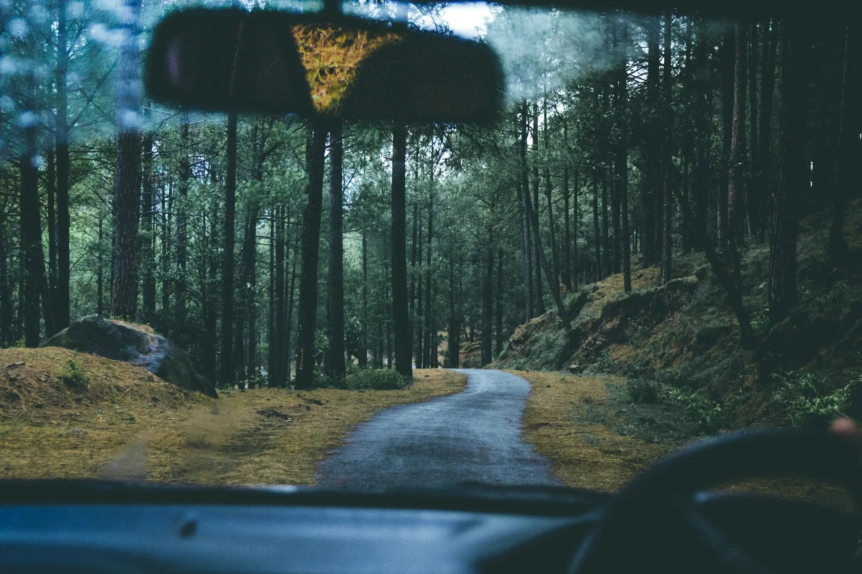Camino entre árboles visto desde el interior de un auto.